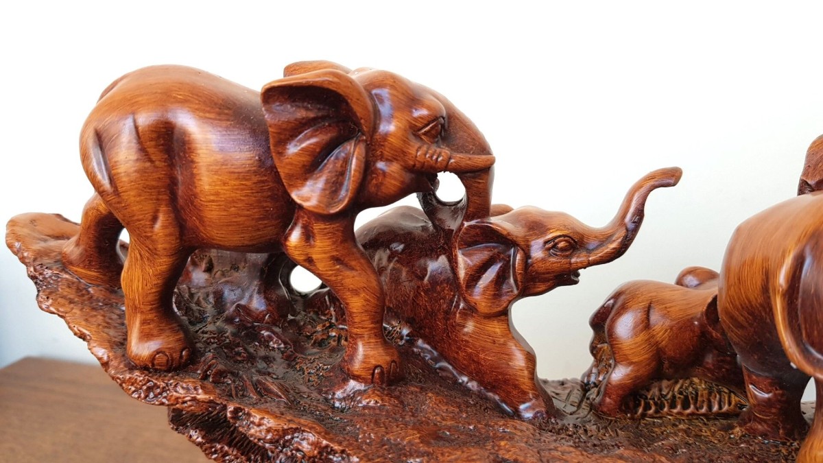 7'li Fil Ailesi Biblo